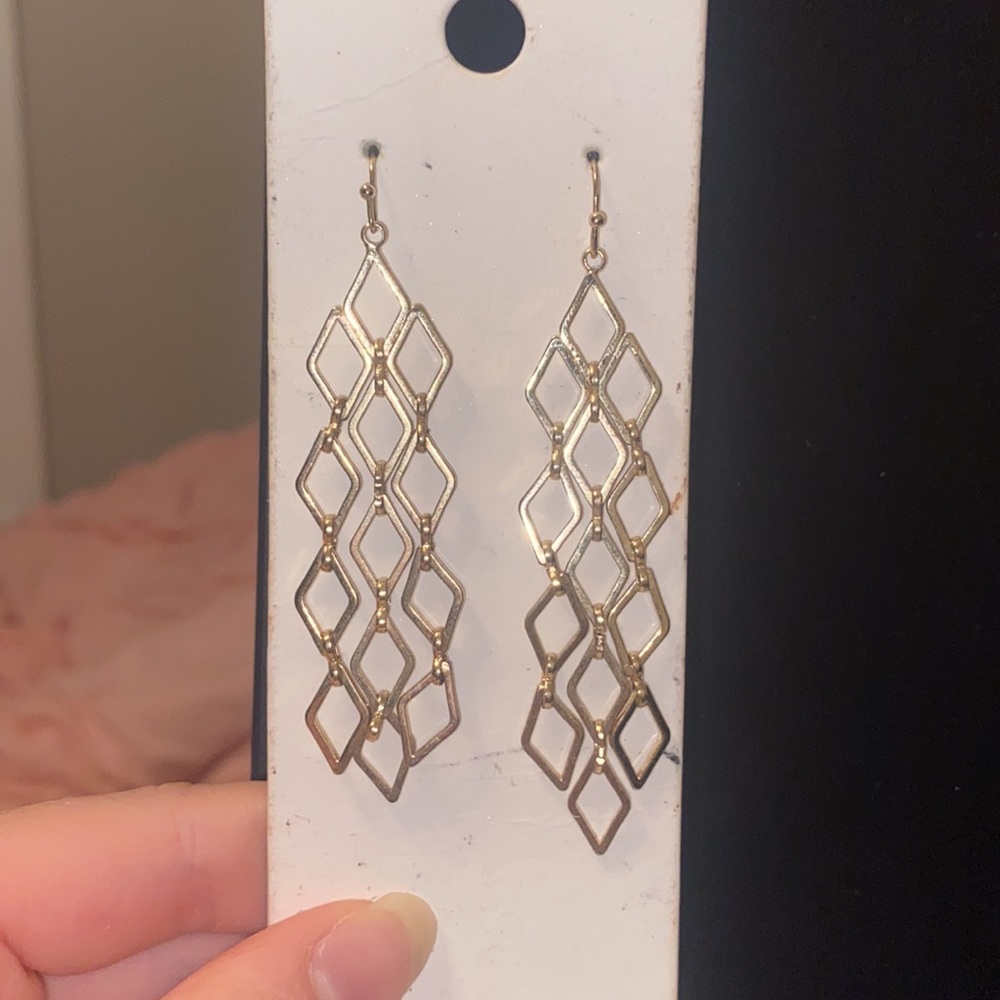 Express Earrings